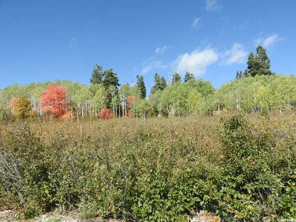 $67,000 | 14 East Main Road Drive, Unit 14, Fairview, UT 84629