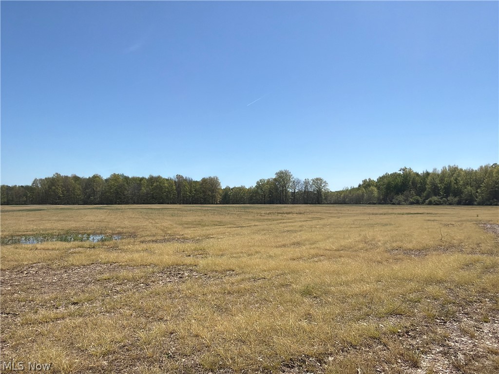 Station Road Columbia Station, OH 44028 - Photo 12 of 22 Expansive field with a natural tree line bordering the perimeter