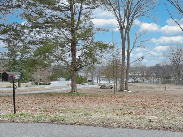 a view of a yard with a tree