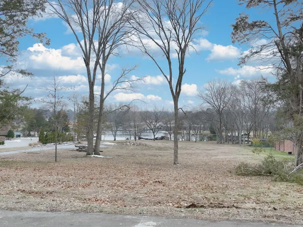 a view of a yard covered with snow in the background