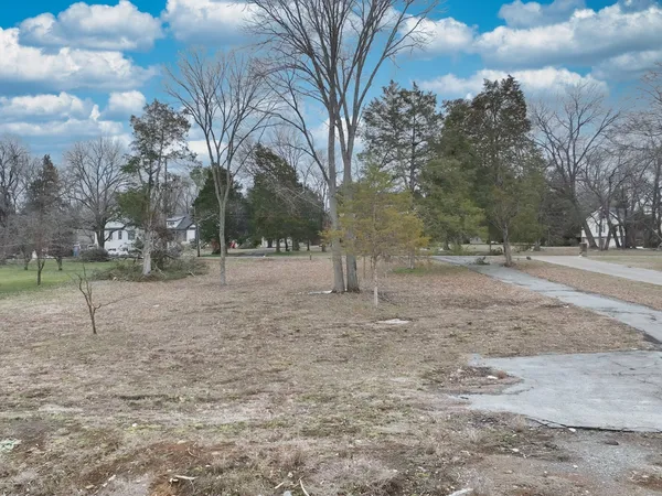 a view of dirt yard with a large tree
