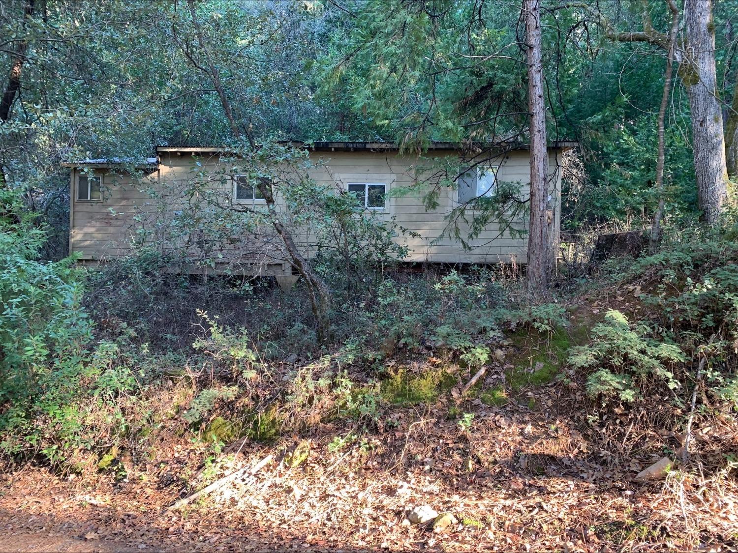21440 Ohls Road Pioneer, CA 95666 - Photo 1 of 1 Gallery Image 1