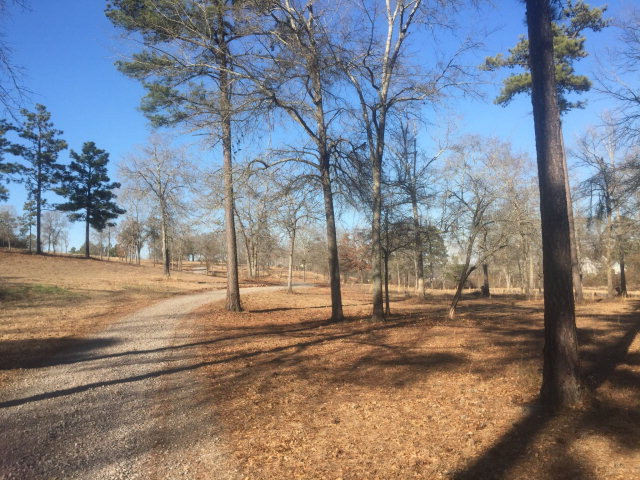 4066 Ruffian Road Hephzibah, GA 30815 - Photo 1 of 1 Main View