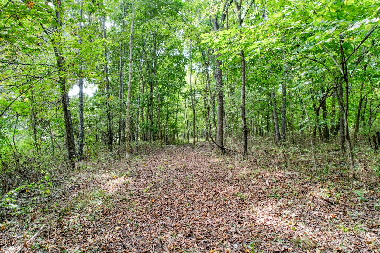 1775 Beckwith Road Mount Juliet, TN 37122 - Photo 19 of 64 a view of a forest with trees in the background