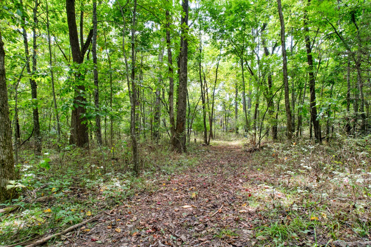 1775 Beckwith Road Mount Juliet, TN 37122 - Photo 20 of 64 a view of outdoor space and trees