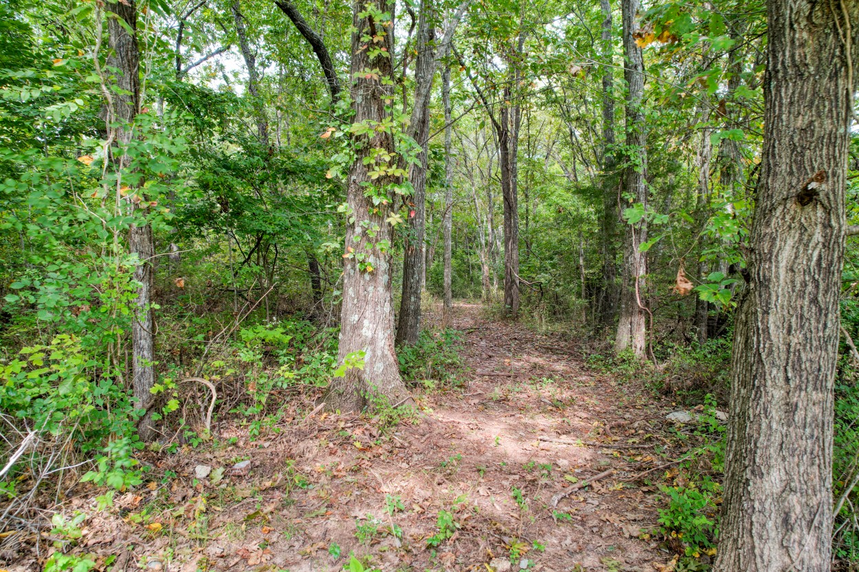 1775 Beckwith Road Mount Juliet, TN 37122 - Photo 21 of 64 a view of a forest with trees