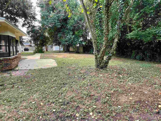 a view of a yard in front of a house with large trees
