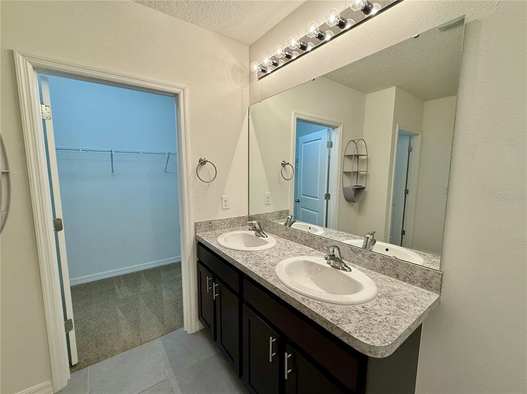 31000 Summer Sun Loop Wesley Chapel, FL 33545 - Photo 11 of 32