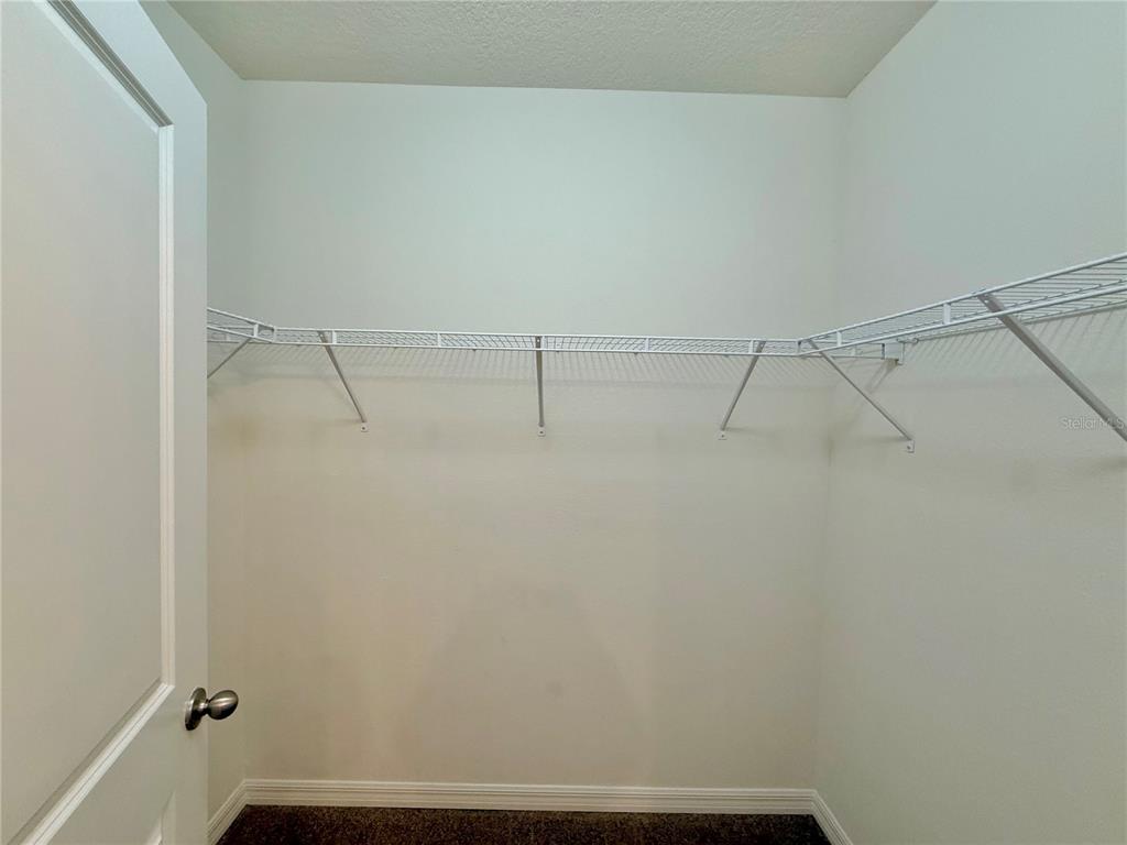 31000 Summer Sun Loop Wesley Chapel, FL 33545 - Photo 13 of 32