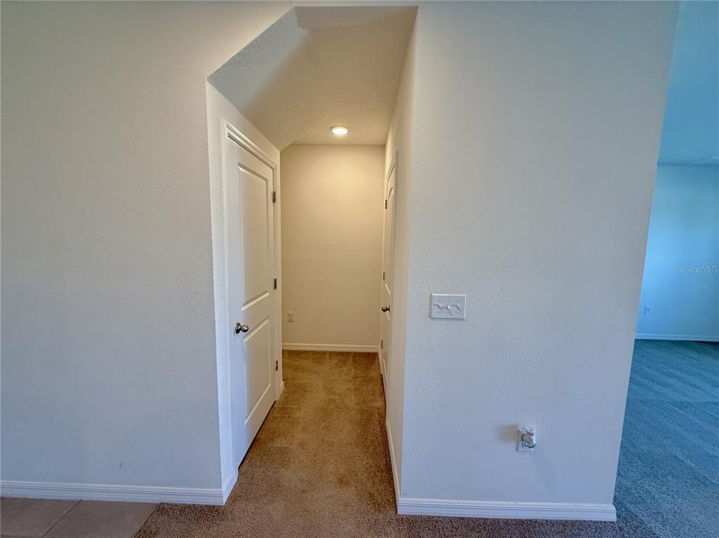 31000 Summer Sun Loop Wesley Chapel, FL 33545 - Photo 14 of 32