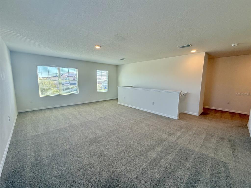 31000 Summer Sun Loop Wesley Chapel, FL 33545 - Photo 16 of 32