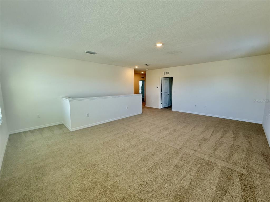 31000 Summer Sun Loop Wesley Chapel, FL 33545 - Photo 17 of 32