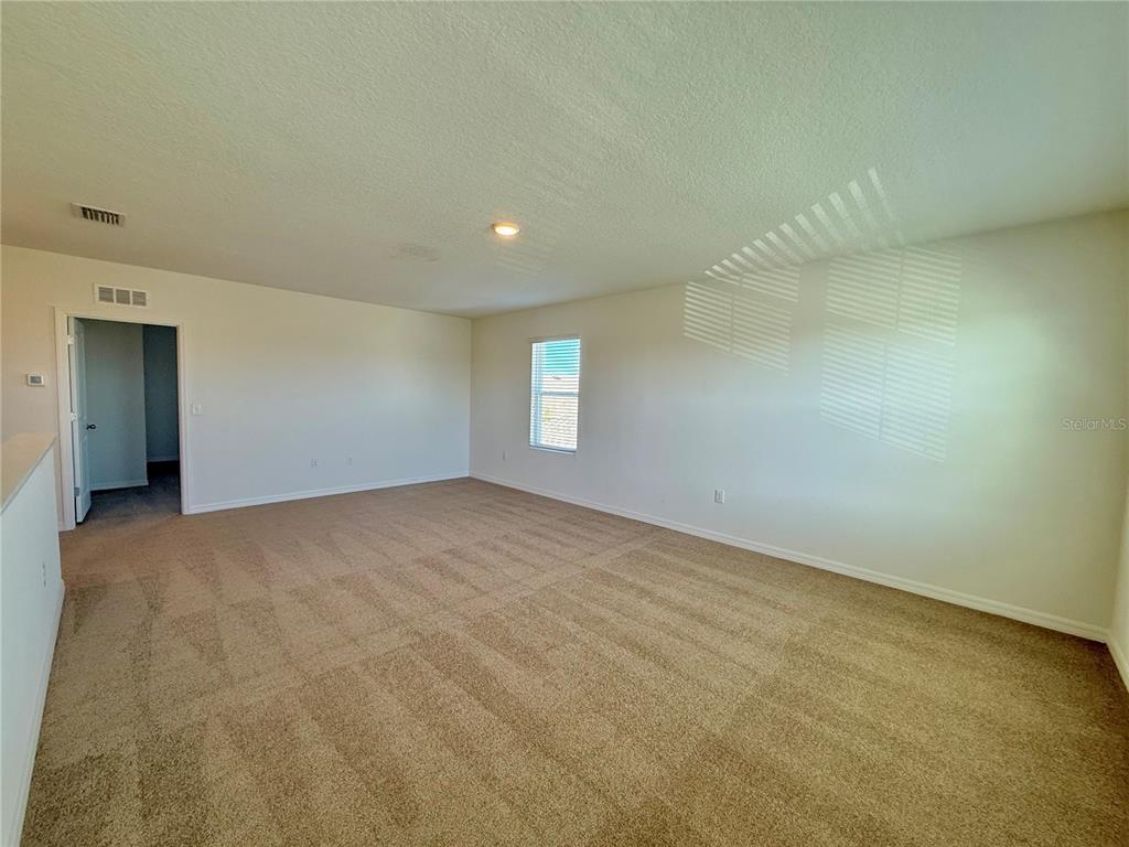 31000 Summer Sun Loop Wesley Chapel, FL 33545 - Photo 18 of 32