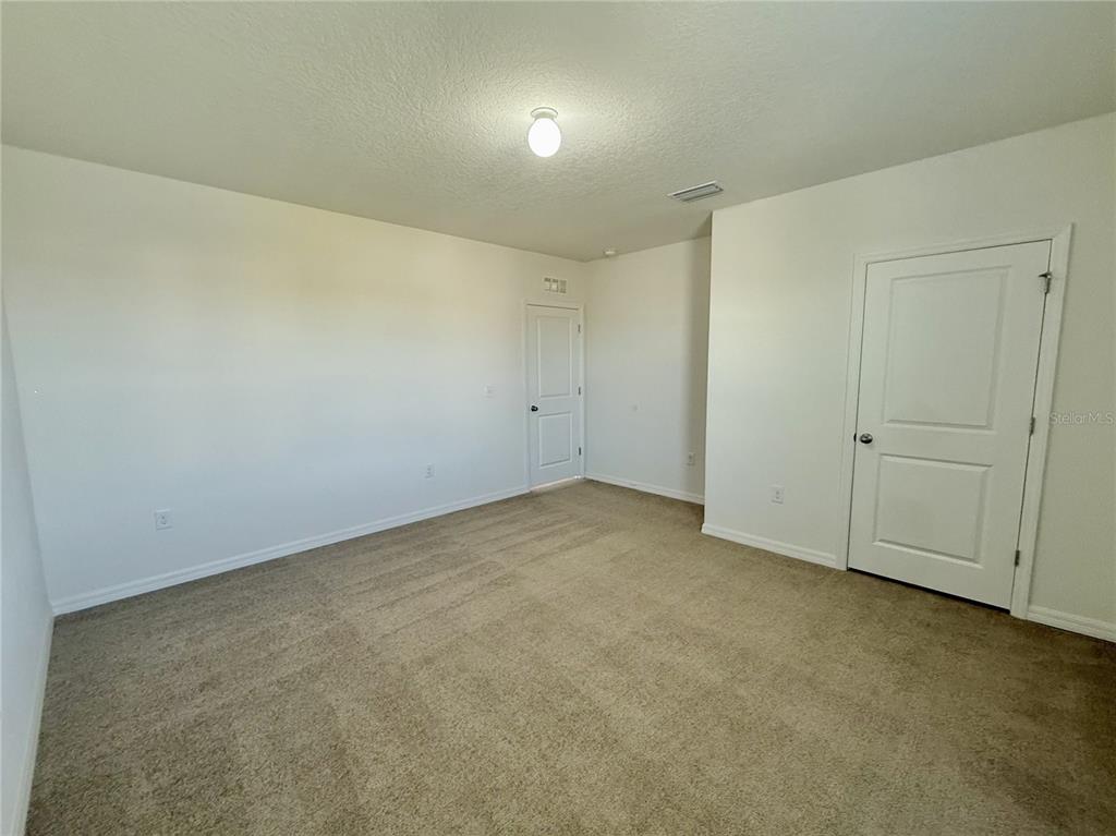 31000 Summer Sun Loop Wesley Chapel, FL 33545 - Photo 19 of 32