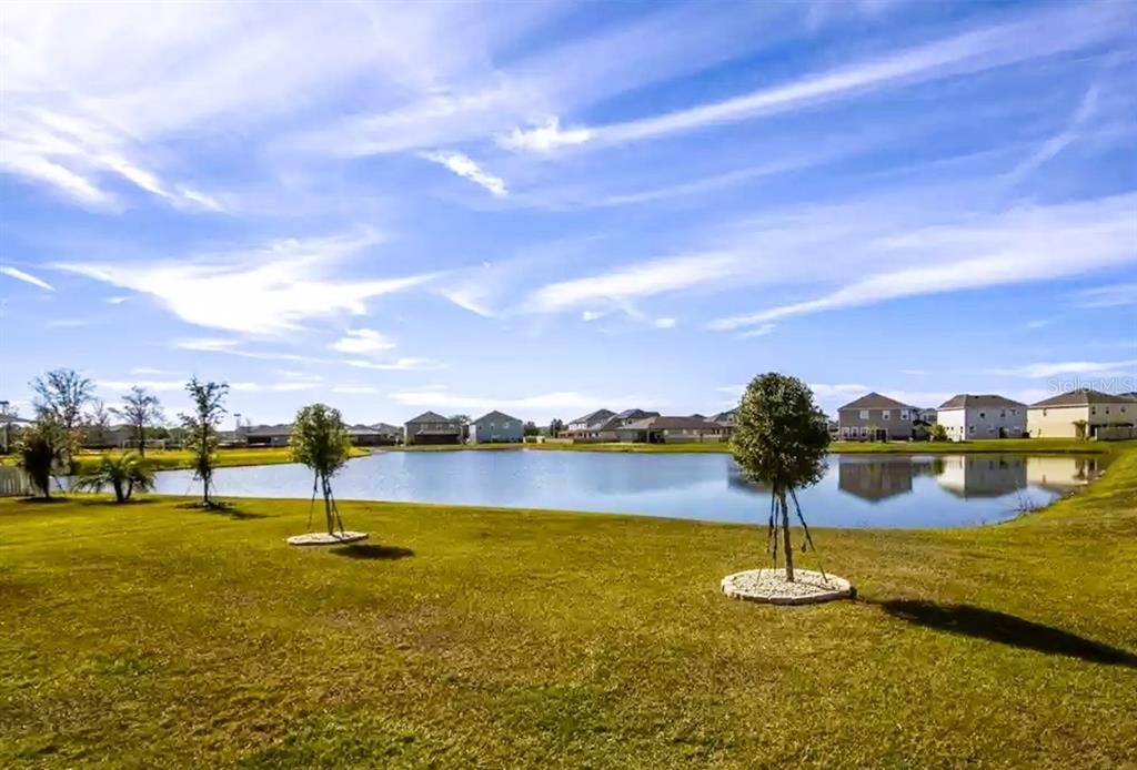 31000 Summer Sun Loop Wesley Chapel, FL 33545 - Photo 30 of 32