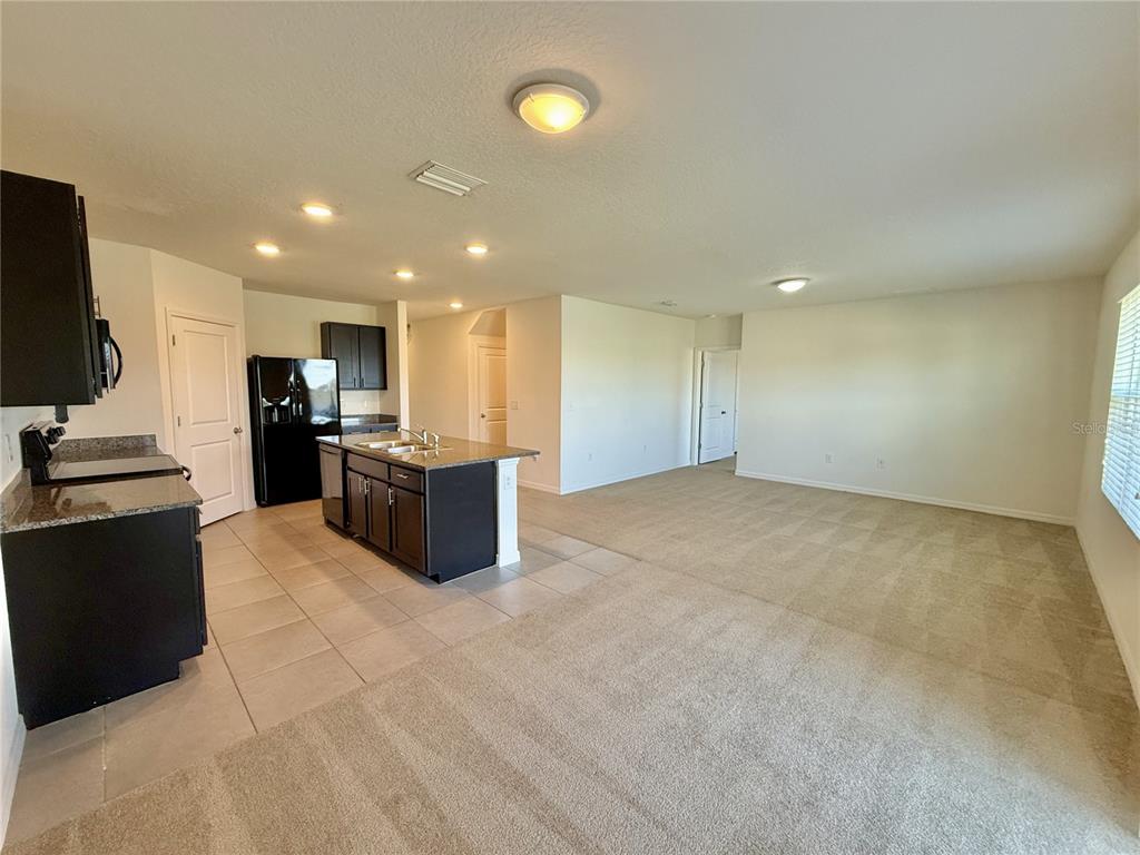 31000 Summer Sun Loop Wesley Chapel, FL 33545 - Photo 4 of 32