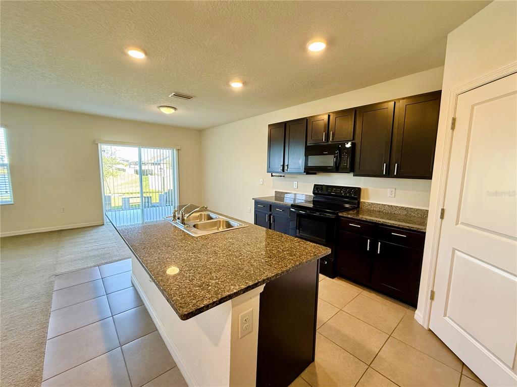 31000 Summer Sun Loop Wesley Chapel, FL 33545 - Photo 6 of 32