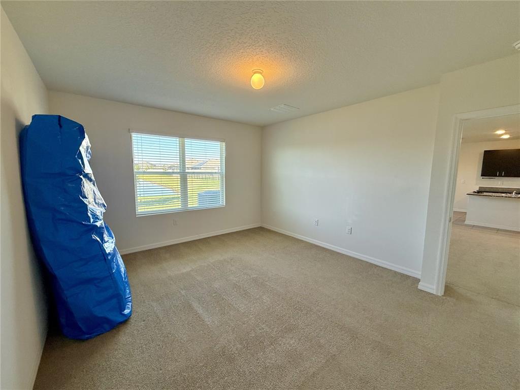 31000 Summer Sun Loop Wesley Chapel, FL 33545 - Photo 10 of 32