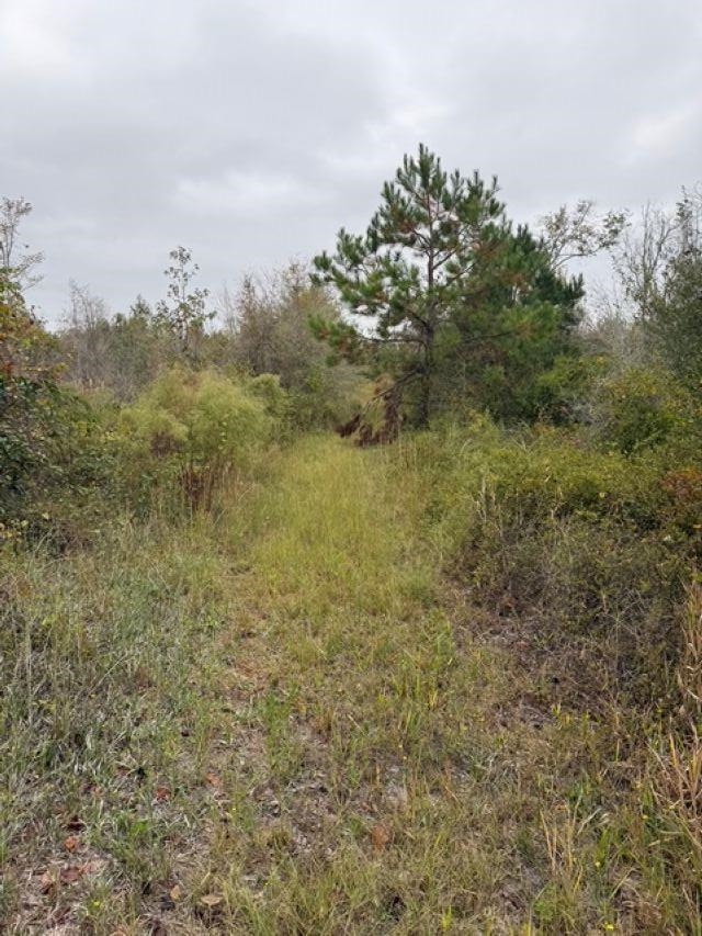 4900 Northwest Flowers Road Madison, FL 32340 - Photo 27 of 30