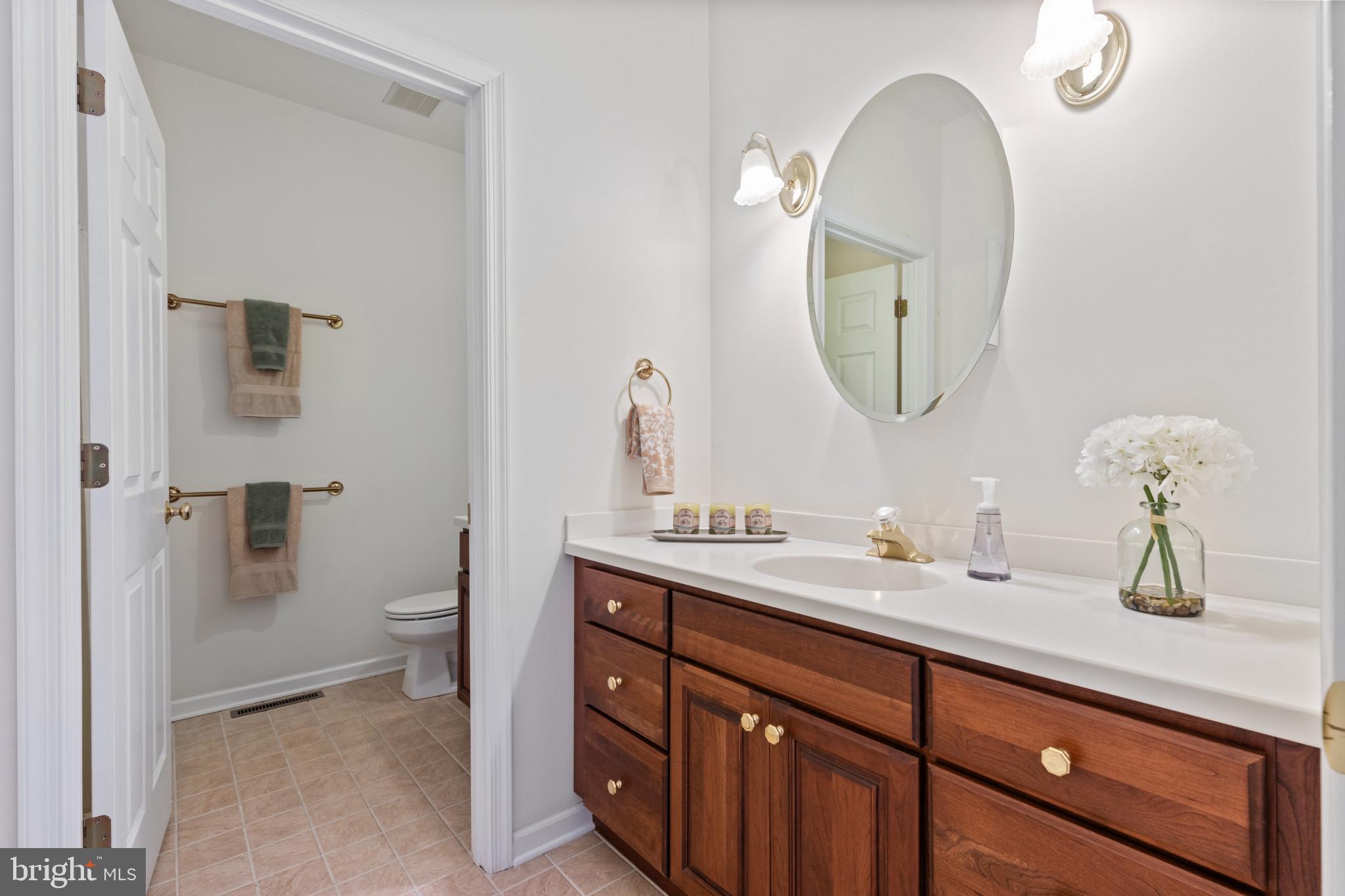 203 Beck Farm Road Centreville, MD 21617 - Photo 19 of 46 Full Hallway Bathroom-first vanity + sink