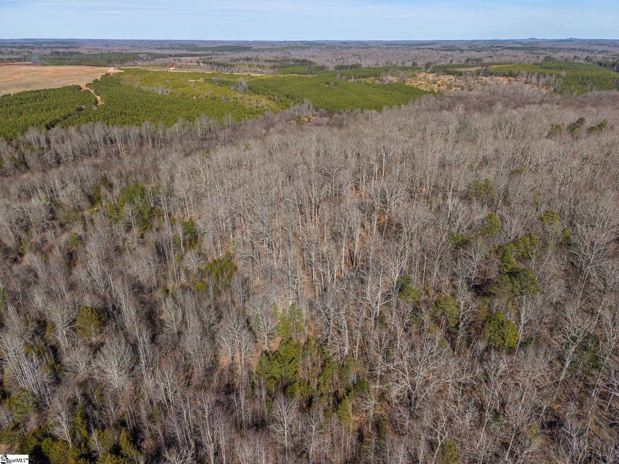 247 Stallion Drive Honea Path, SC 29654 - Photo 13 of 19