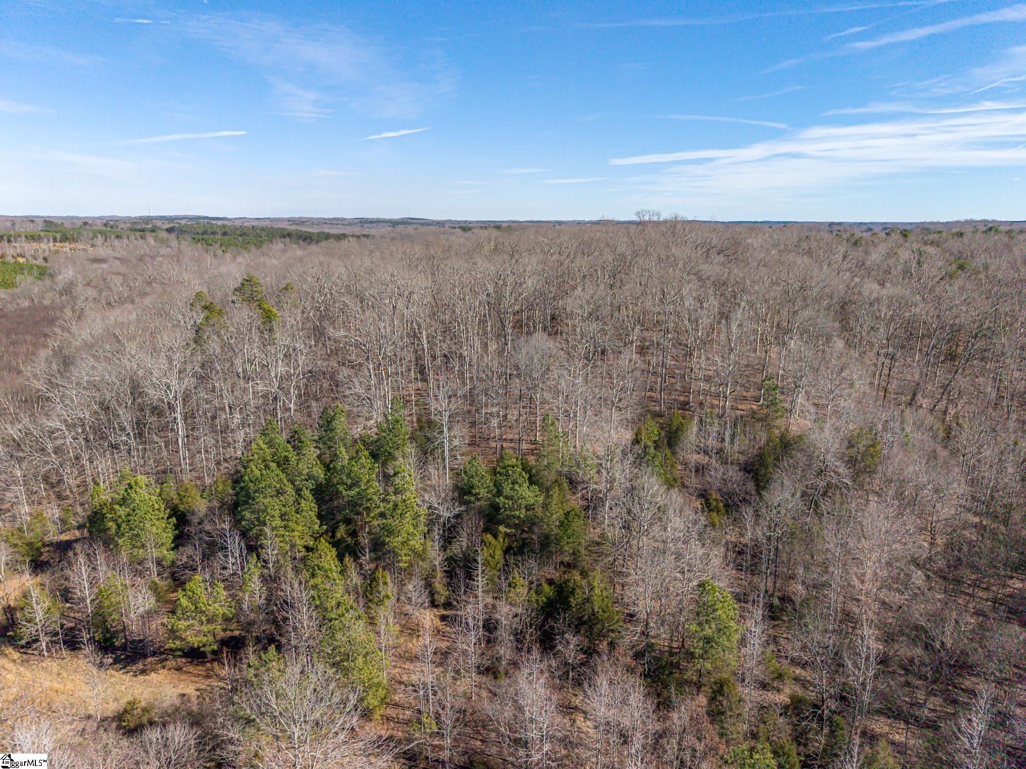 247 Stallion Drive Honea Path, SC 29654 - Photo 14 of 19