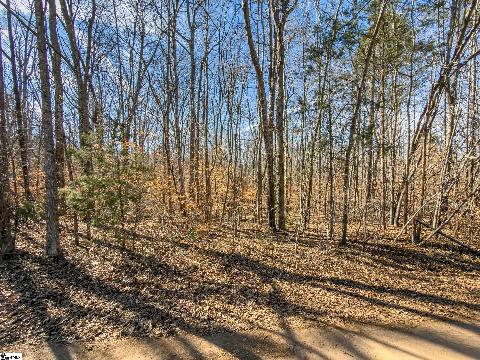 247 Stallion Drive Honea Path, SC 29654 - Photo 18 of 19