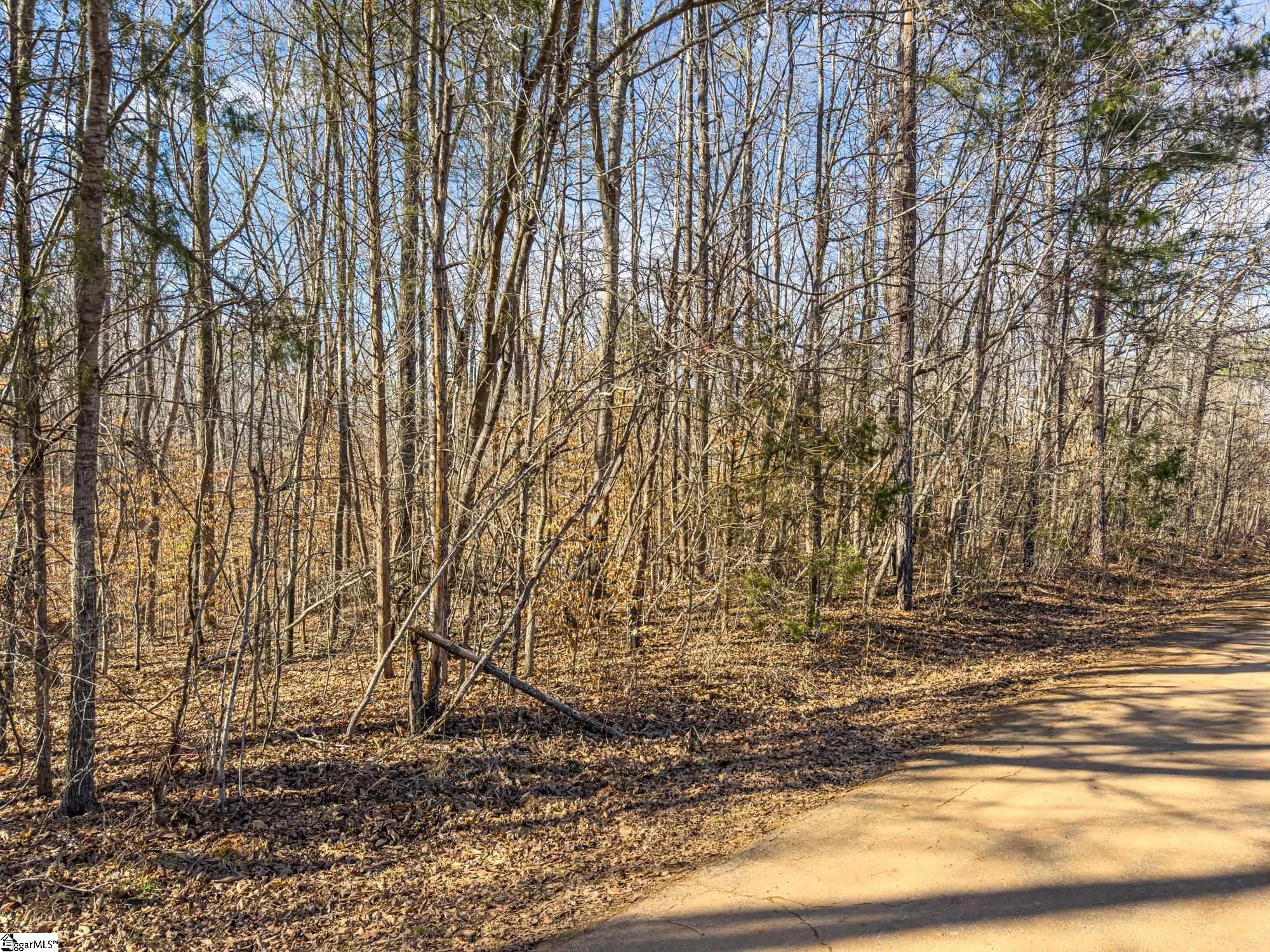 247 Stallion Drive Honea Path, SC 29654 - Photo 19 of 19