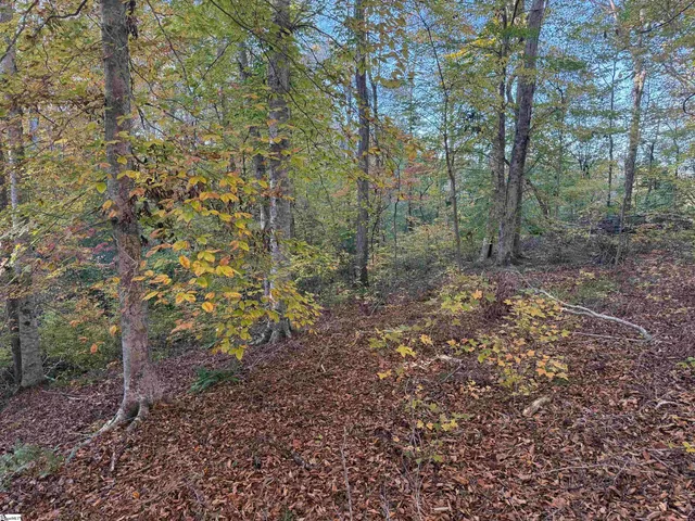 $160,000 | 247 Stallion Drive, Honea Path, SC 29654