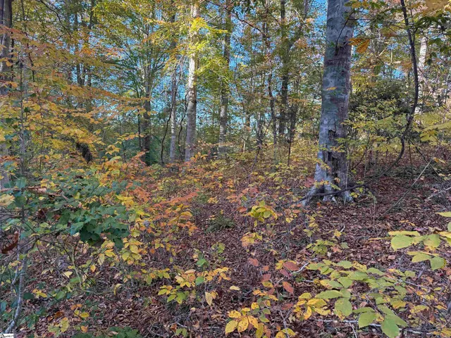 $160,000 | 247 Stallion Drive, Honea Path, SC 29654