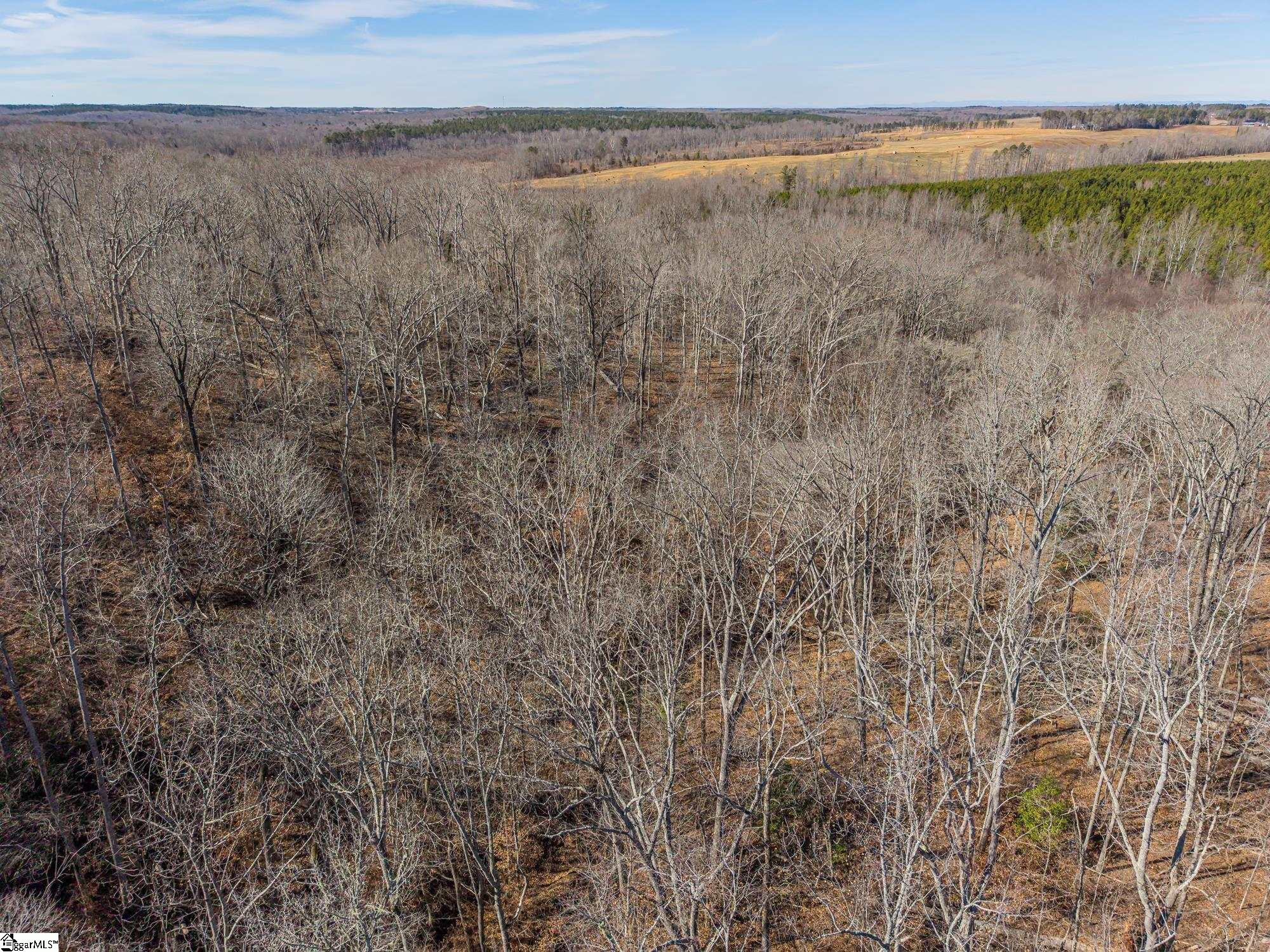 247 Stallion Drive Honea Path, SC 29654 - Photo 5 of 19