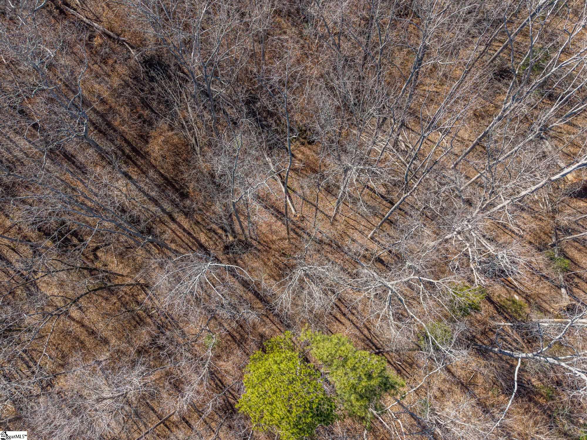 247 Stallion Drive Honea Path, SC 29654 - Photo 6 of 19