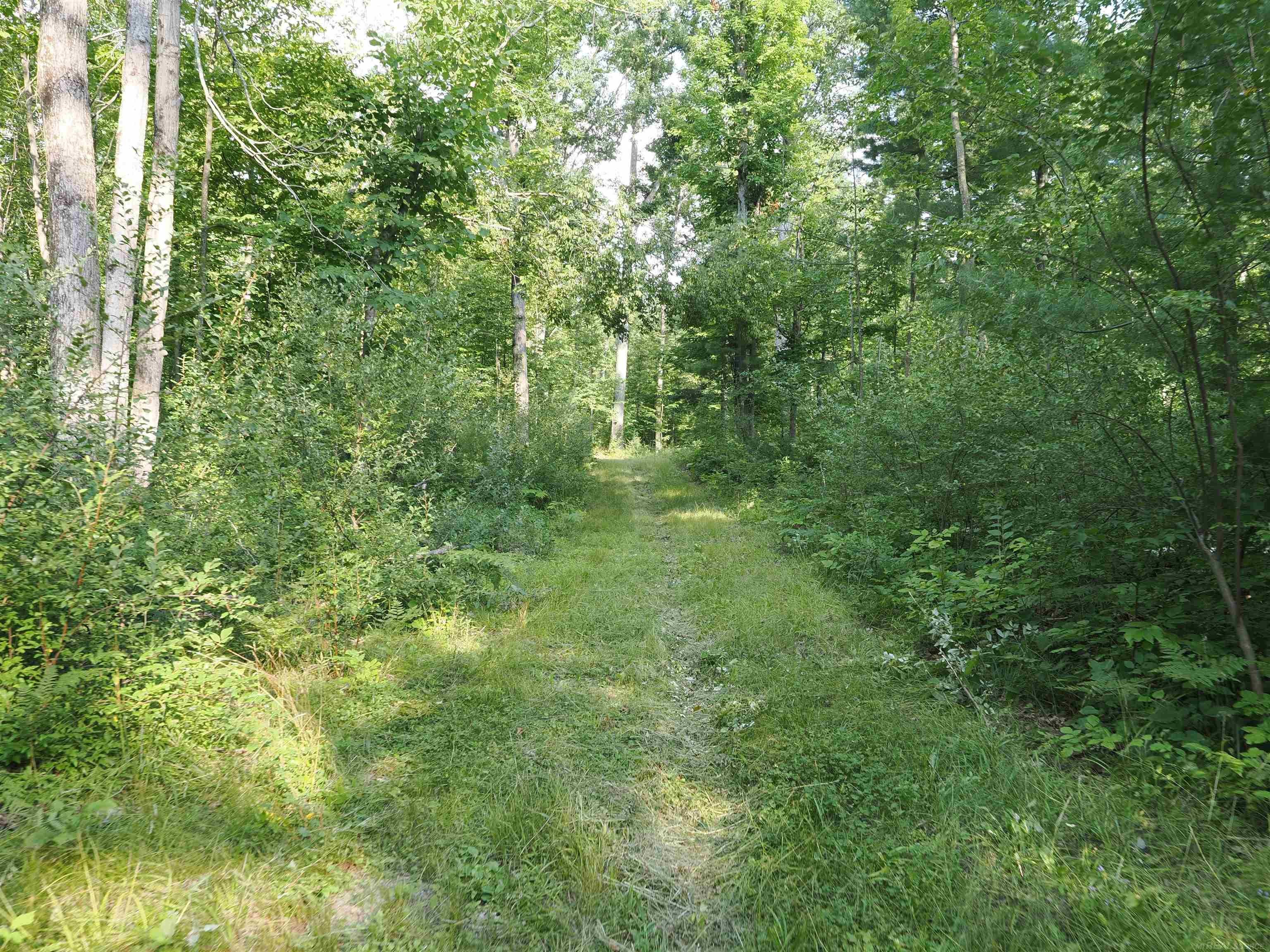Xxx Emig Road Comins, MI 48619 - Photo 28 of 63 Gallery Image 28