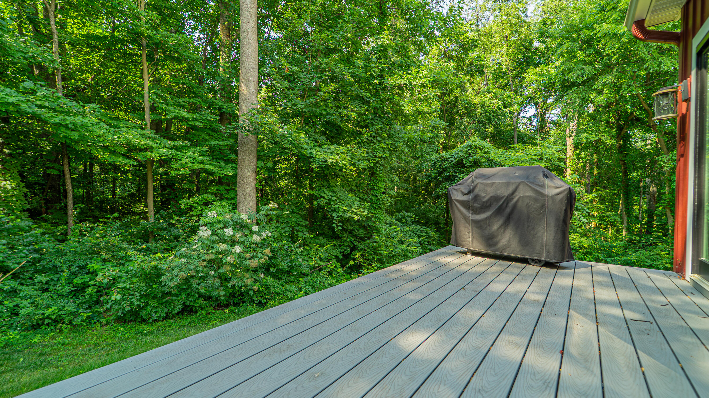 2816 Niles Buchanan Road Buchanan, MI 49107 - Photo 4 of 50 Deck