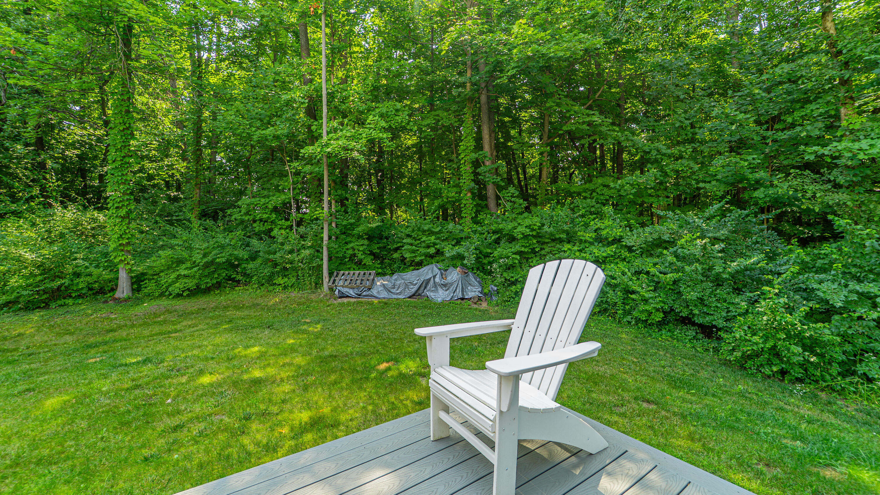 2816 Niles Buchanan Road Buchanan, MI 49107 - Photo 5 of 50 Deck