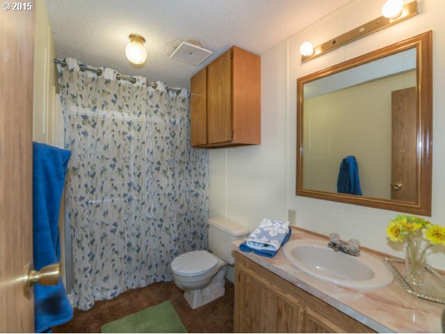 39378 Jasper Lowell Road Lowell, OR 97452 - Photo 12 of 16 a bathroom with a sink a toilet and shower curtain