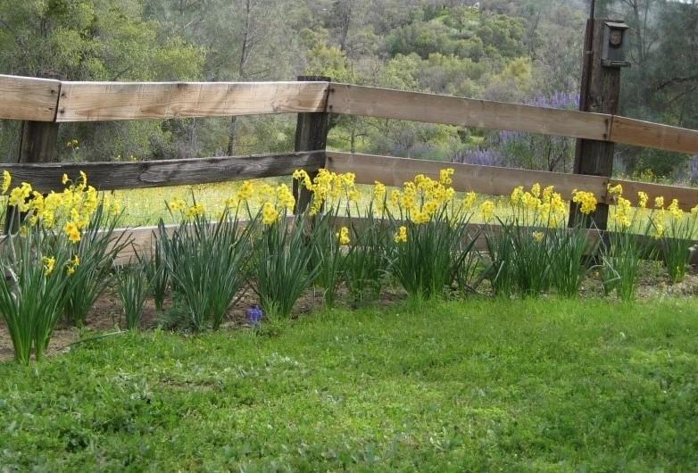 43988 Trabuco Road Coarsegold, CA 93614 - Photo 51 of 62 Gallery Image 51