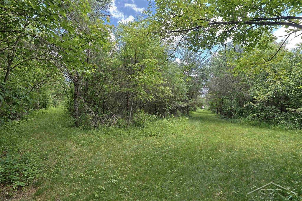 2202 West Huckleberry Road Sanford, MI 48657 - Photo 50 of 64