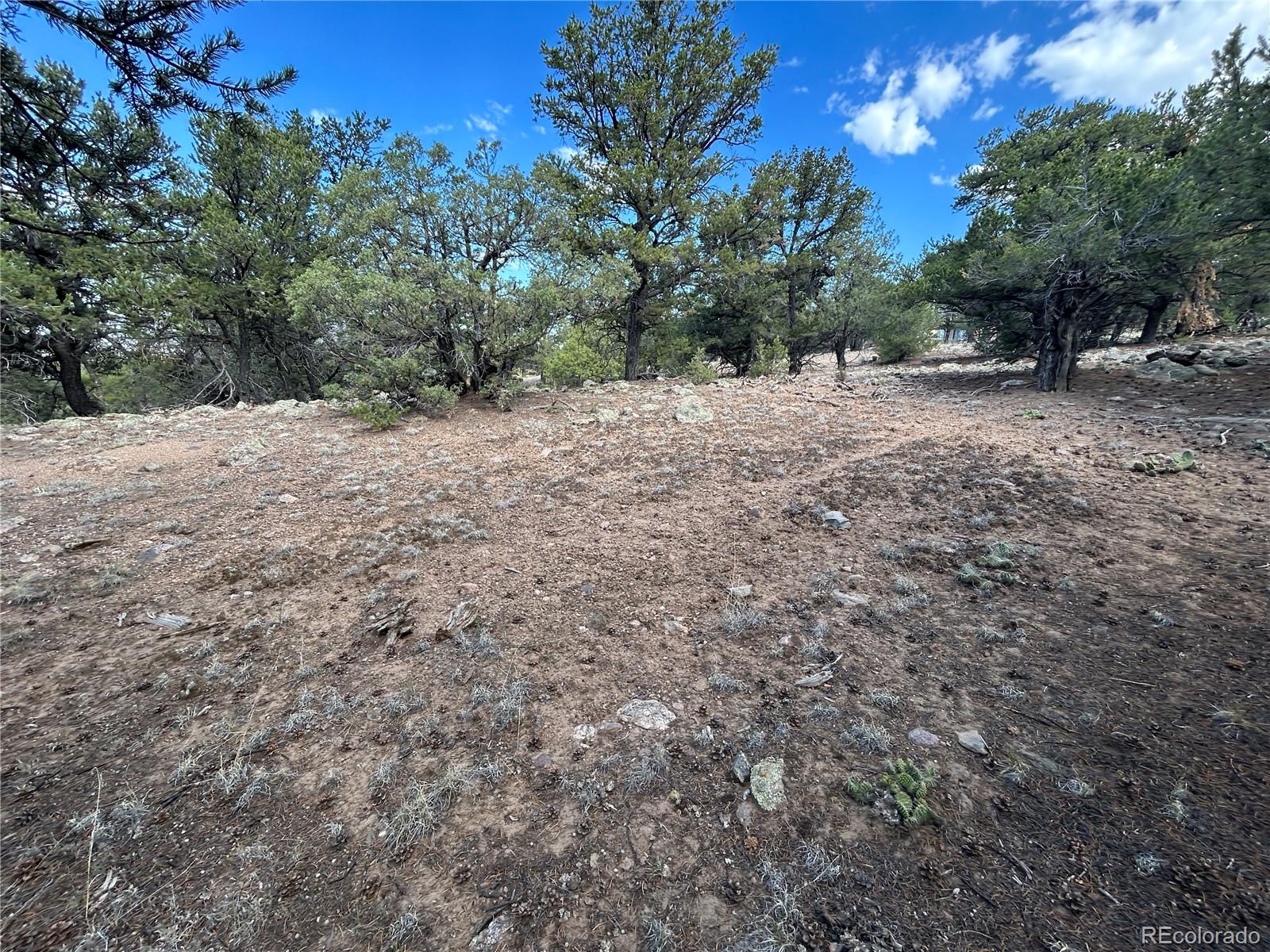 1761 Summitview Way Crestone, CO 81131 - Photo 2 of 12