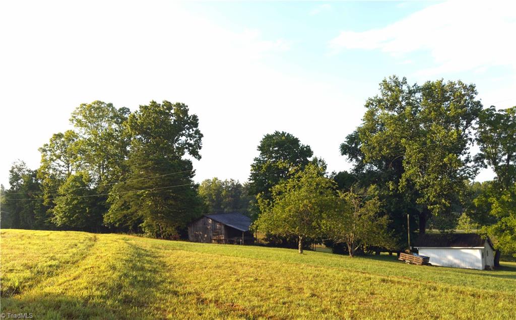 2541 Collinstown Road Westfield, NC 27053 - Photo 45 of 50