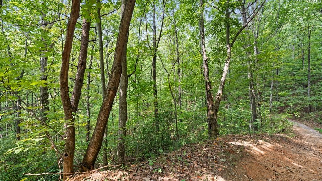 23 B Lake View Road Cherry Log, GA 30522 - Photo 11 of 13 a view of outdoor space and trees