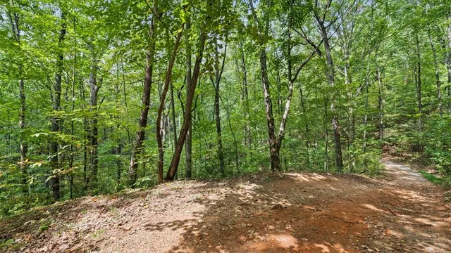 a backyard of a house with large trees
