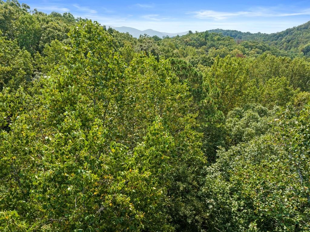 23 B Lake View Road Cherry Log, GA 30522 - Photo 2 of 13 a view of a lush green forest with a mountain in the background