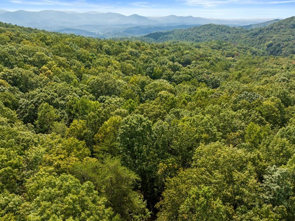 23 B Lake View Road Cherry Log, GA 30522 - Photo 3 of 13 a view of a green field with lots of bushes