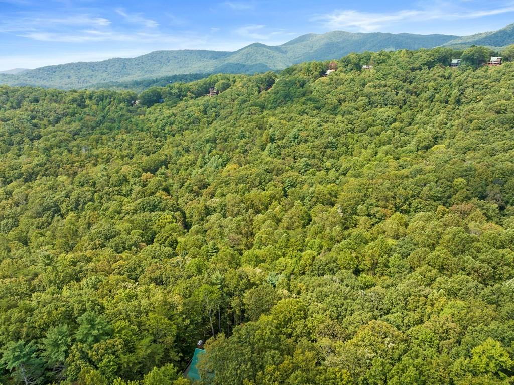 23 B Lake View Road Cherry Log, GA 30522 - Photo 6 of 13 a view of a lush green field with a mountain in the background