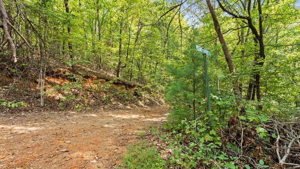 23 B Lake View Road Cherry Log, GA 30522 - Photo 7 of 13 a view of a yard