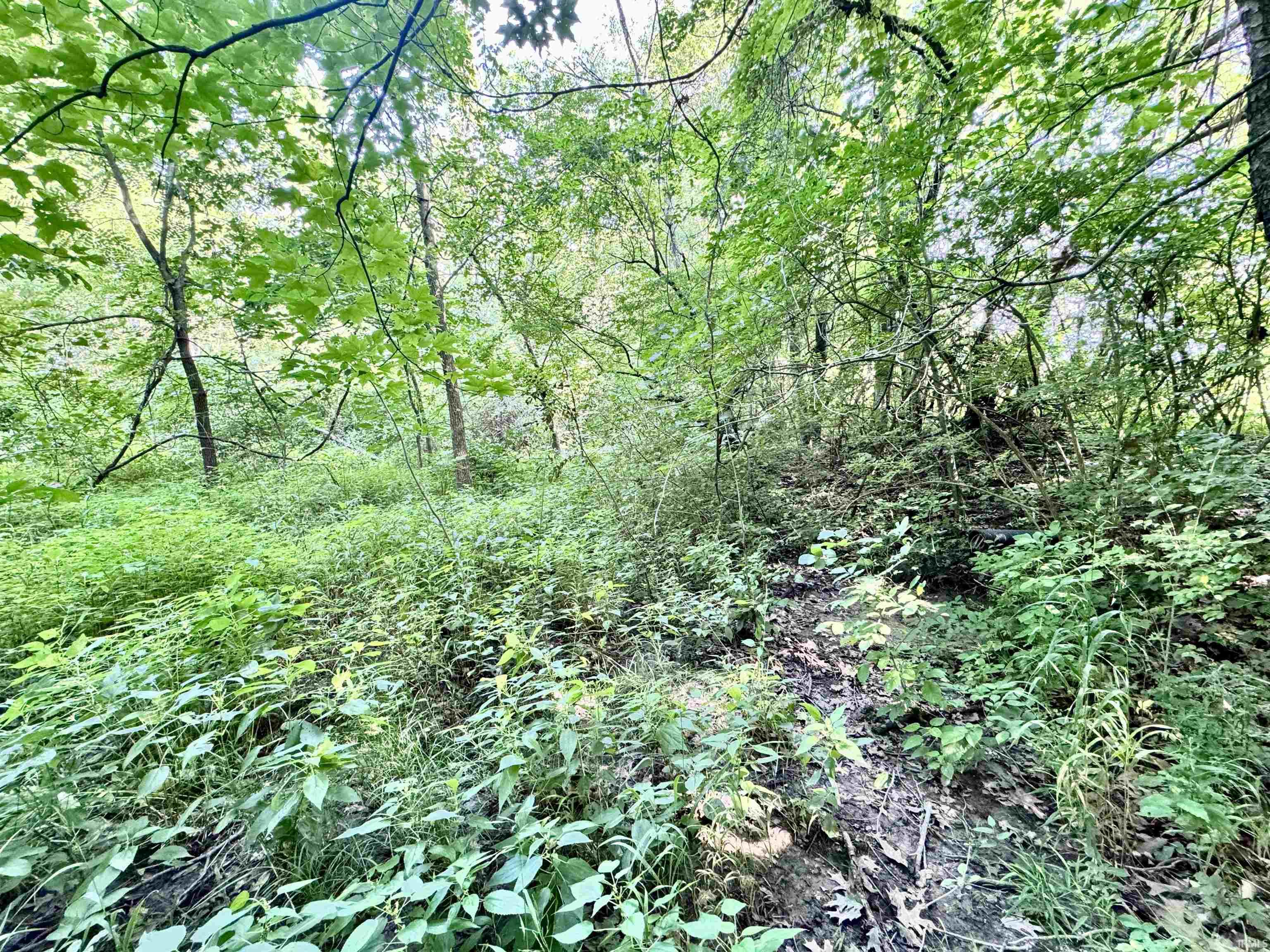 200 N EAST County Road Logansport, IN 46947 - Photo 20 of 24