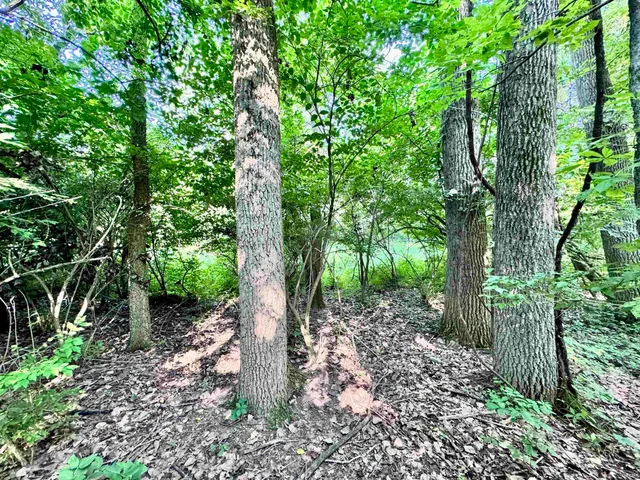 $117,500 | 200 N EAST County Road, Logansport, IN 46947