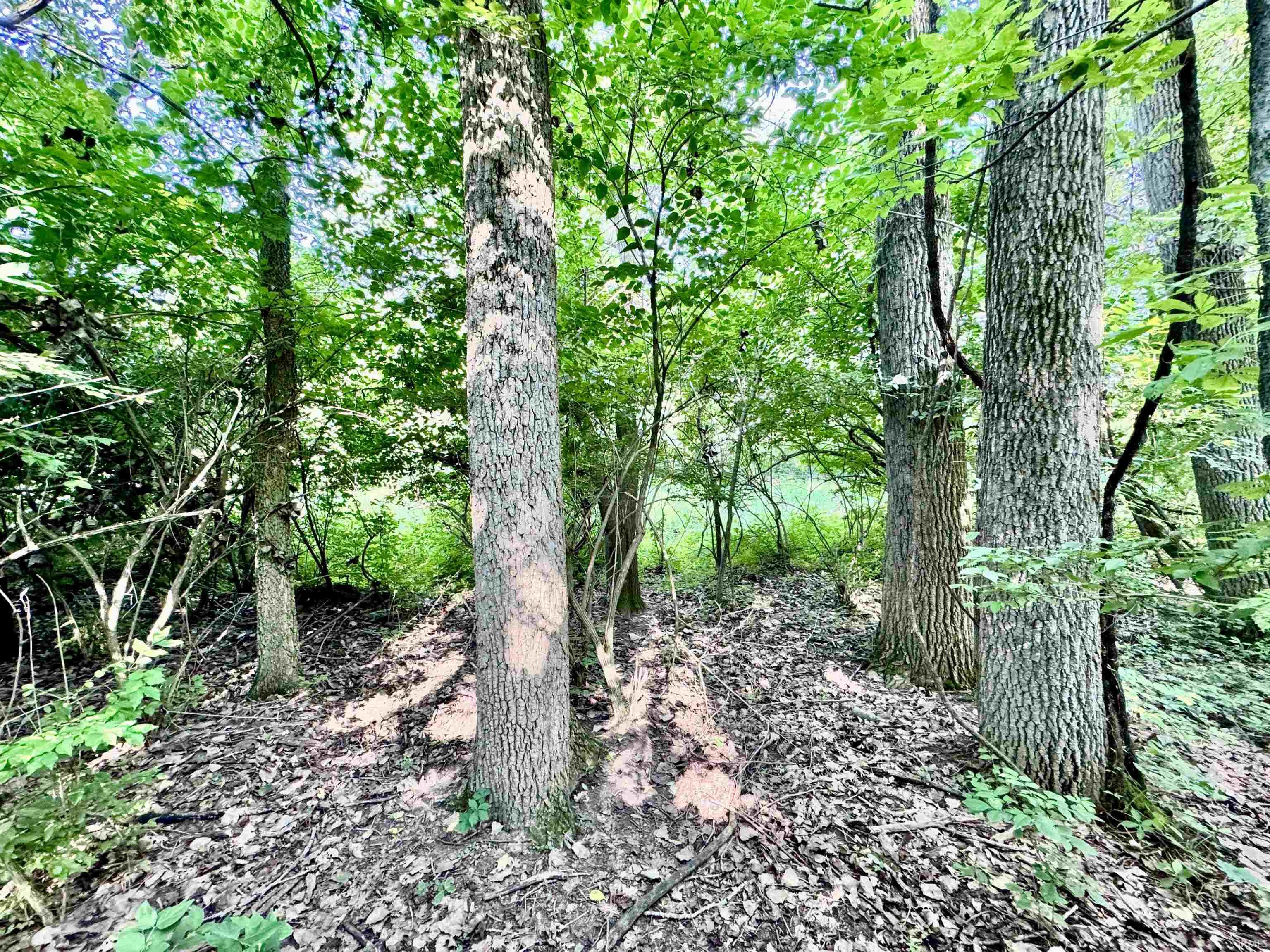 200 N EAST County Road Logansport, IN 46947 - Photo 24 of 25