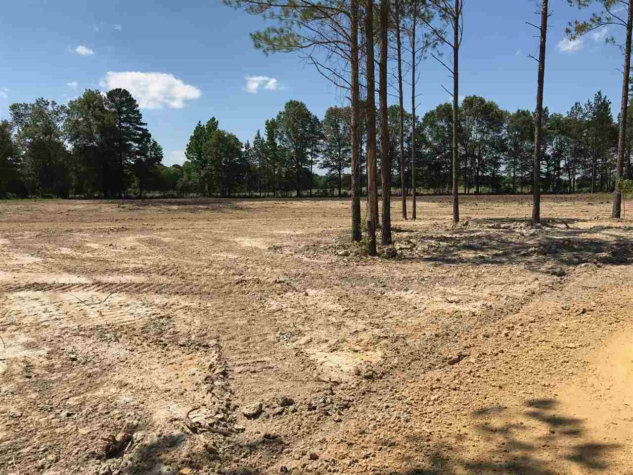 171 Stump Ridge Road Brandon, MS 39047 - Photo 1 of 5 Photo 1
